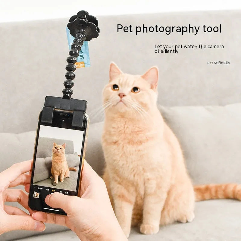 Black pet photography tool with phone clamp and treat holder for cat and dog photography