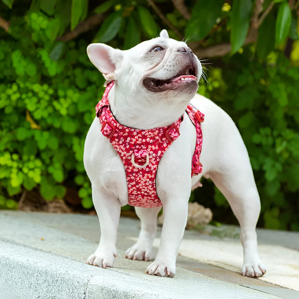 Floral pattern dog harness with chest strap and pull-resistant design in pure cotton