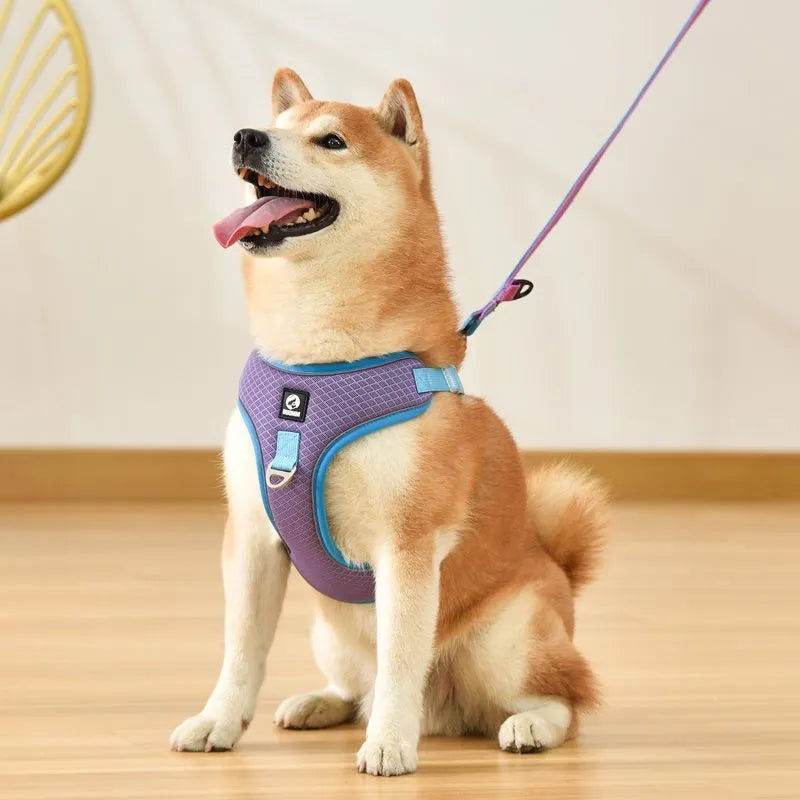 Adjustable reflective dog harness for small medium dogs in breathable polyester mesh
