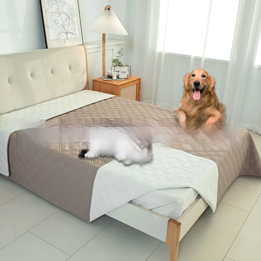 Reversible waterproof dog sofa cushion in dark grey and light grey, shown on a sofa.