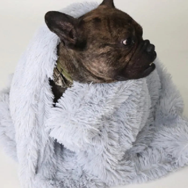 Wool polyester plush dog blanket in grey showing soft texture with size options for medium and large dogs