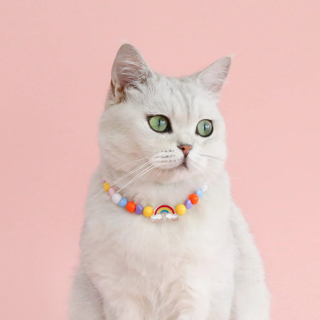 Colourful plastic pearl pet necklace with flower beads for cats and small dogs