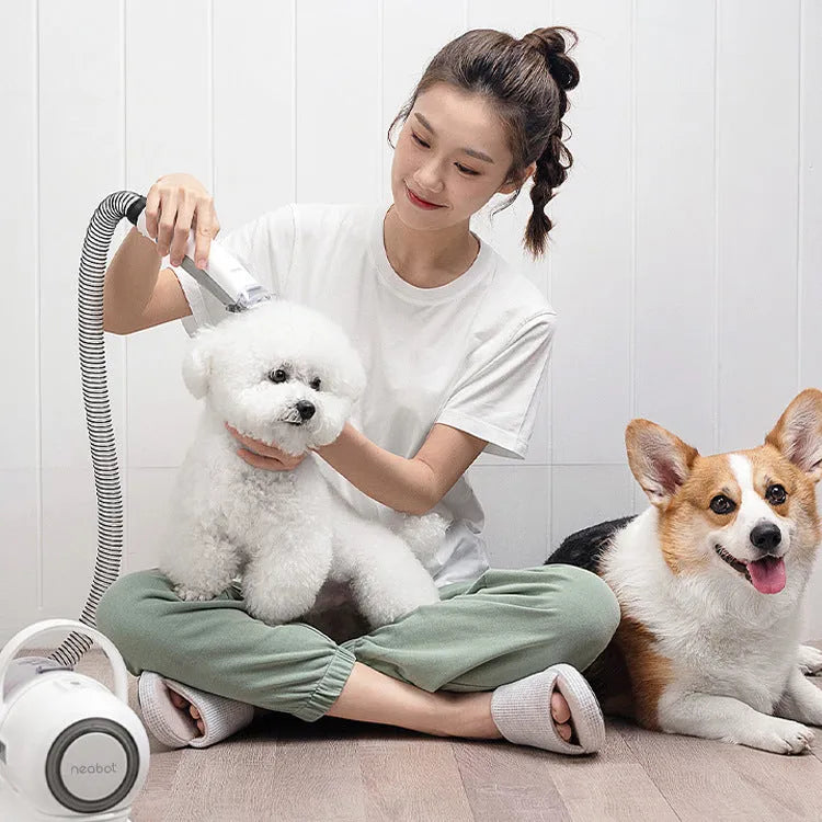P1 pet grooming device with host, trimming shears, massage comb, thinning comb, cleaning brush, gap suction head, and four length caliper accessories