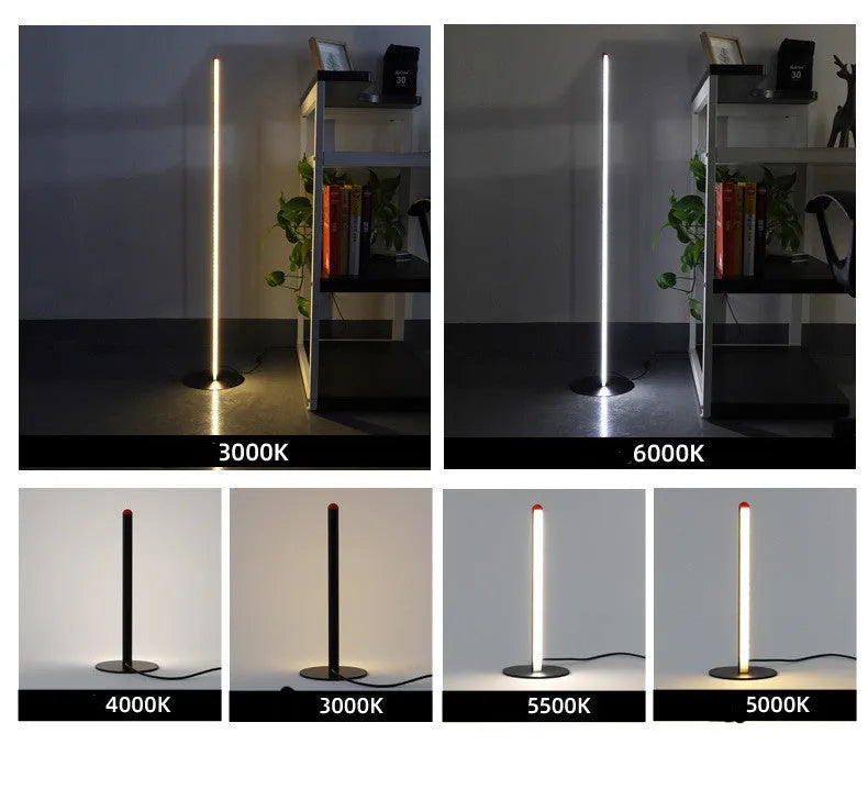 Vertical aluminium alloy floor lamp in modern simple style with USB power connection