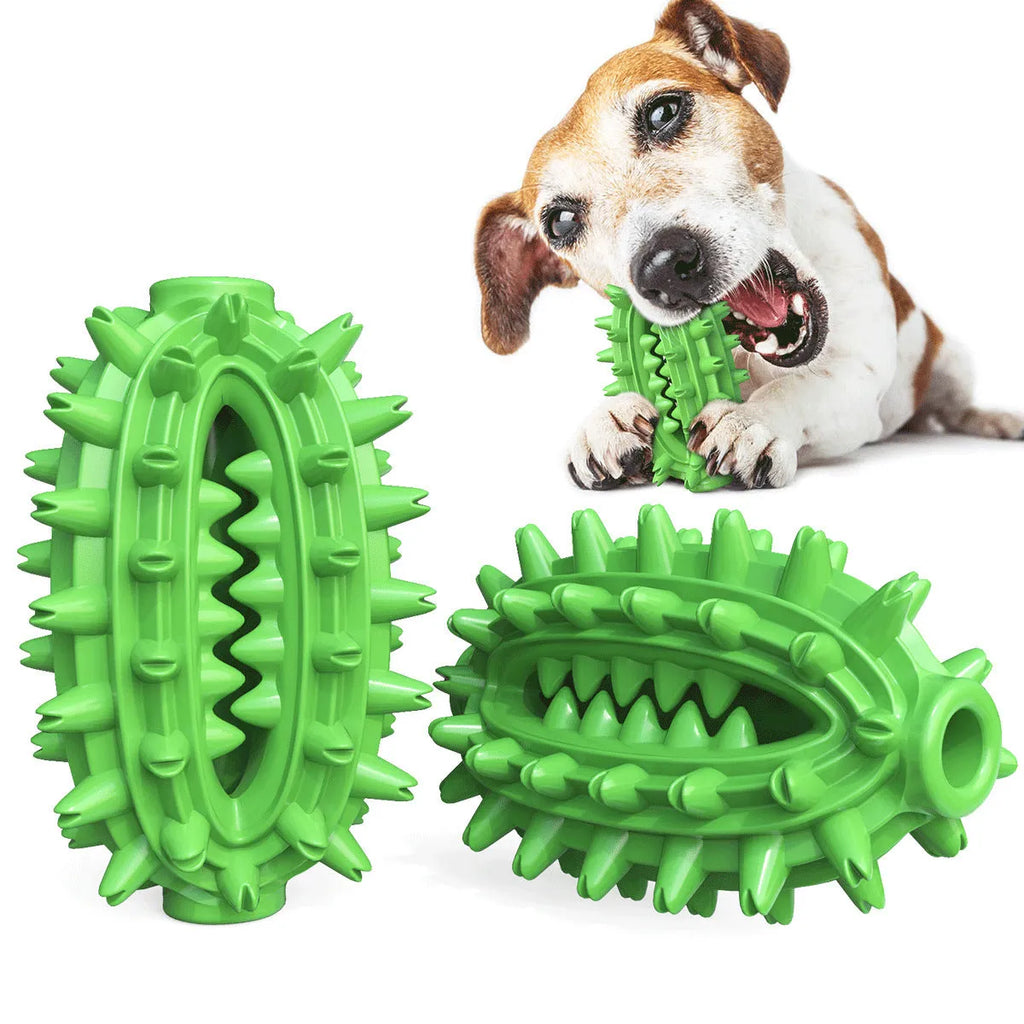 Green cactus-shaped rubber dog chew toy for dental cleaning, shown with dimensions.