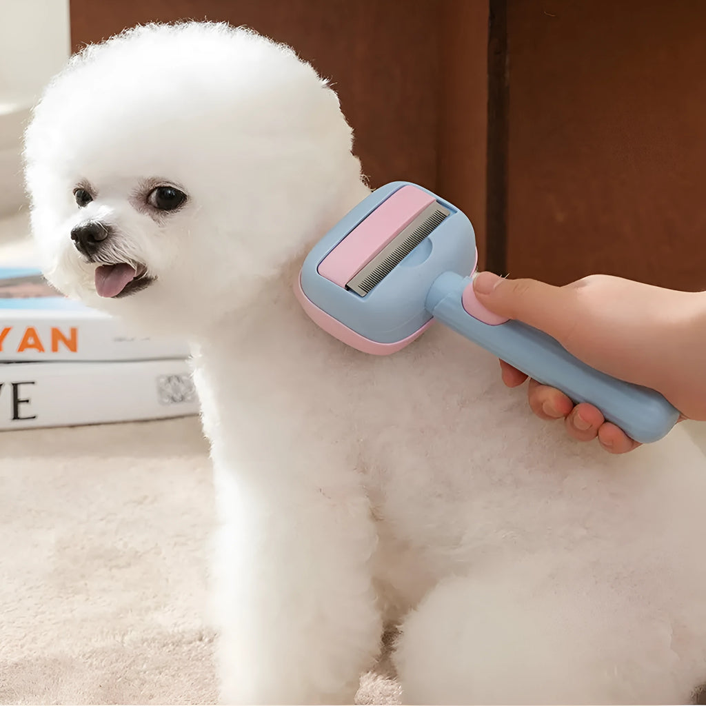 Blue double-sided pet grooming brush with deshedding rake and dematting comb