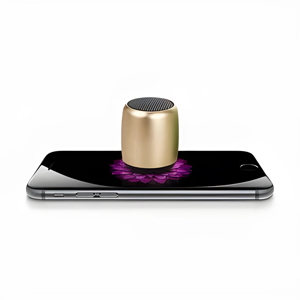 Portable outdoor mini Bluetooth speaker shown in black, blue, gold, and pink colour options