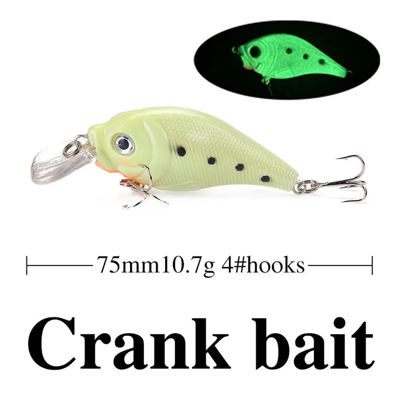 Five 3D fluorescent simulation luminous hard bait fishing lures with holographic finish in assorted colours