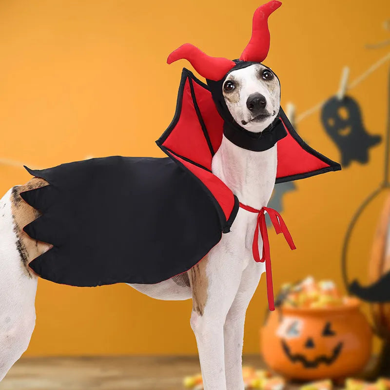 Black polyester vampire cloak and hat costume on a small dog or cat for Halloween.