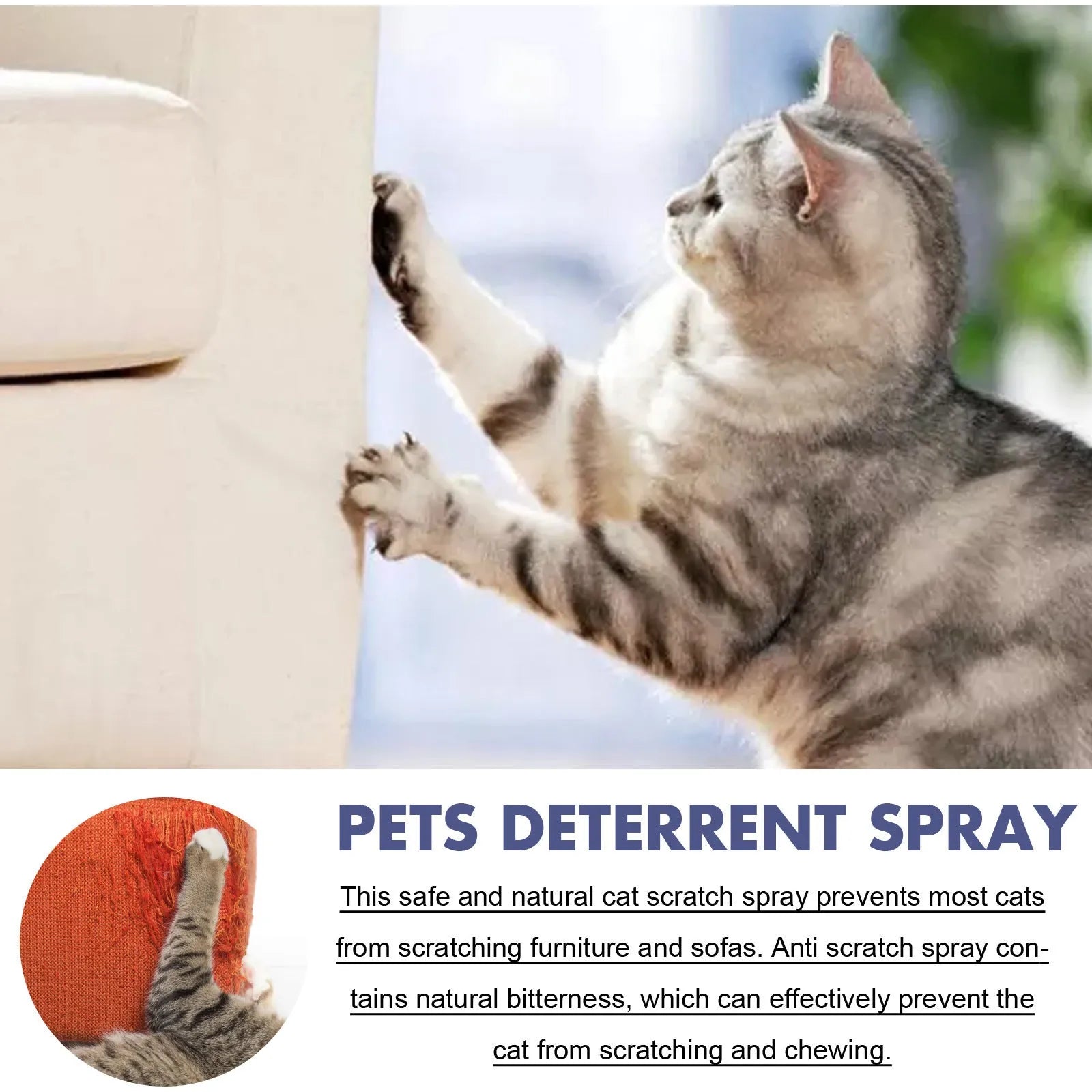 50ml pet deterrent spray bottle in box packaging for stopping dogs and cats scratching furniture