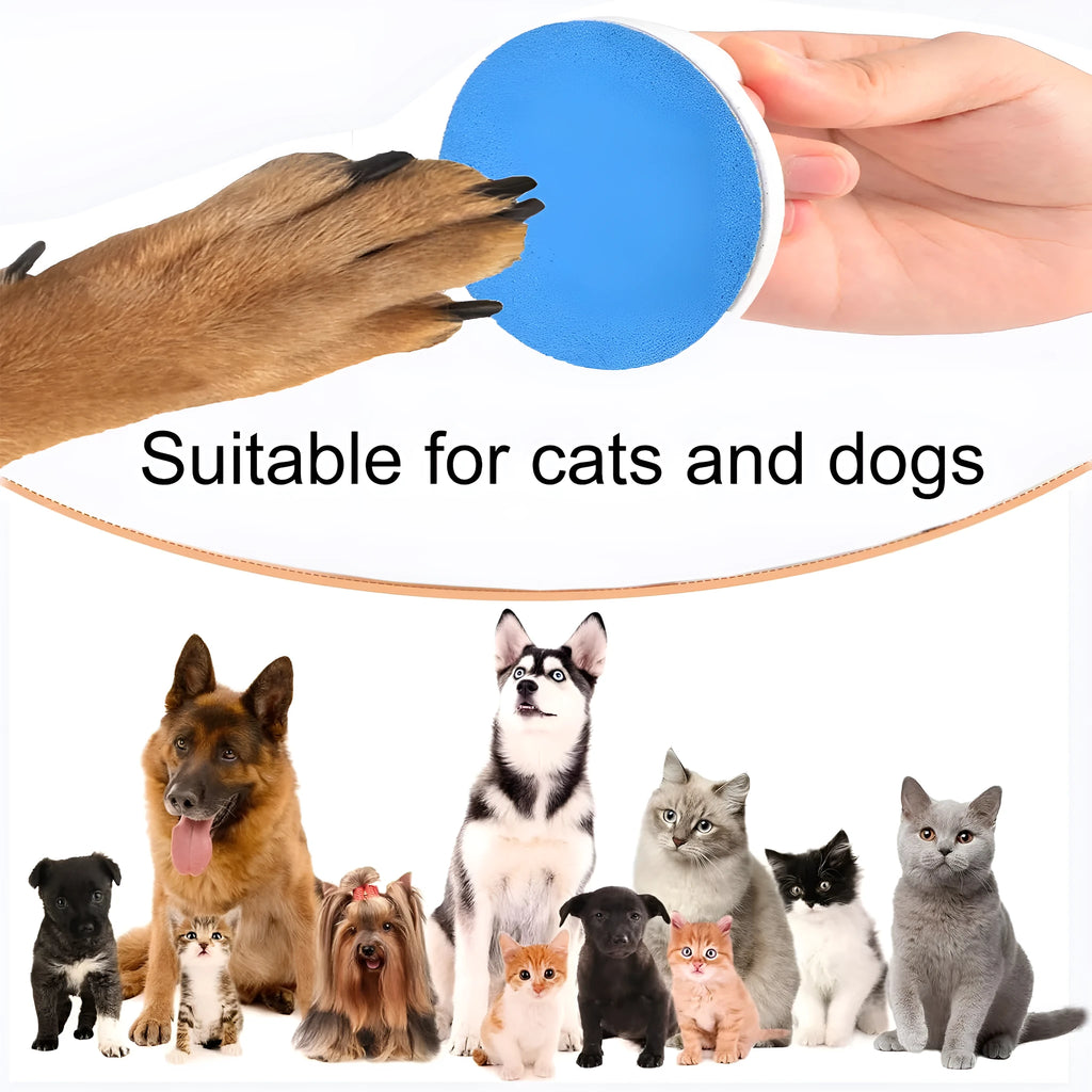 Square dog nail scratch board with ergonomic handle in choice of four colours