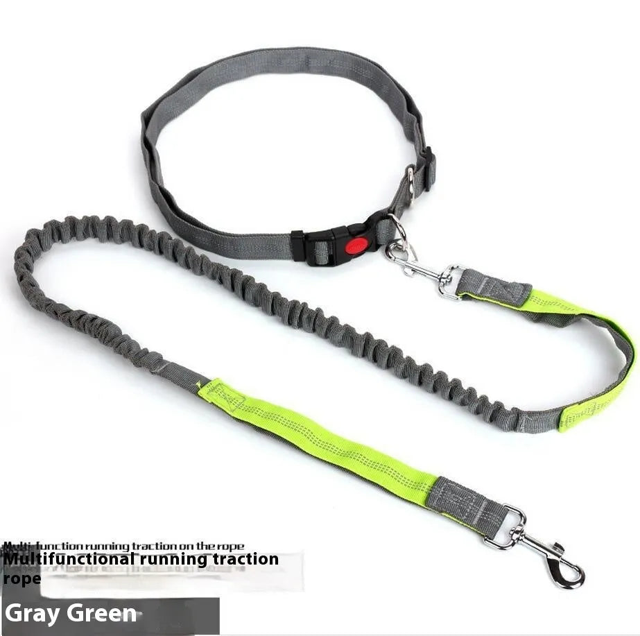 Night reflective nylon dog leash with elastic sling in blue and red colour combination
