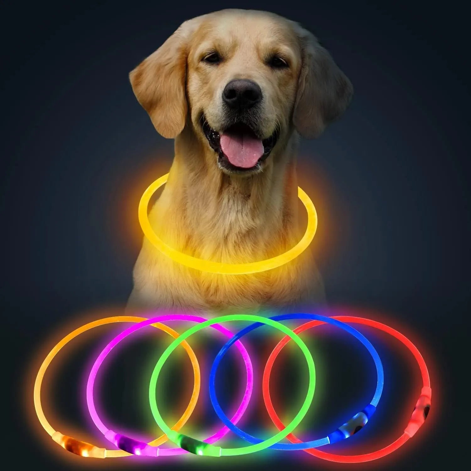USB rechargeable LED dog collar glowing blue with adjustable TPU strap and charging cable