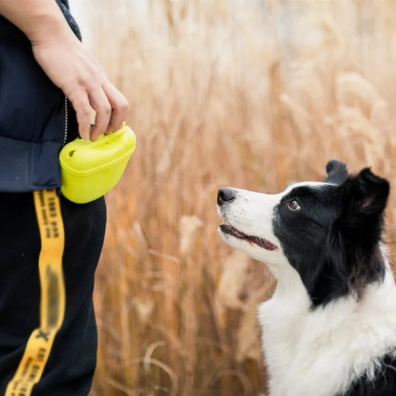 Silicone dog training treat waist bag with clip and magnetic closure in assorted colours.