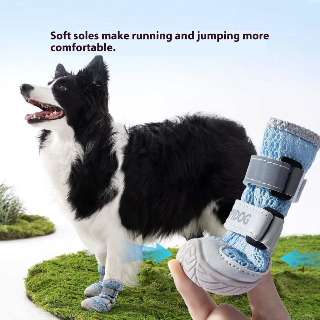 Summer breathable anti-scald dog shoes in Bondi Blue cartoon style for paw protection