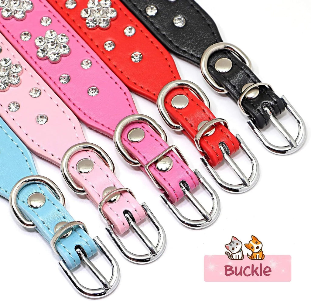 PU leather dog collar with rhinestone flower pattern and metal studs on a small dog