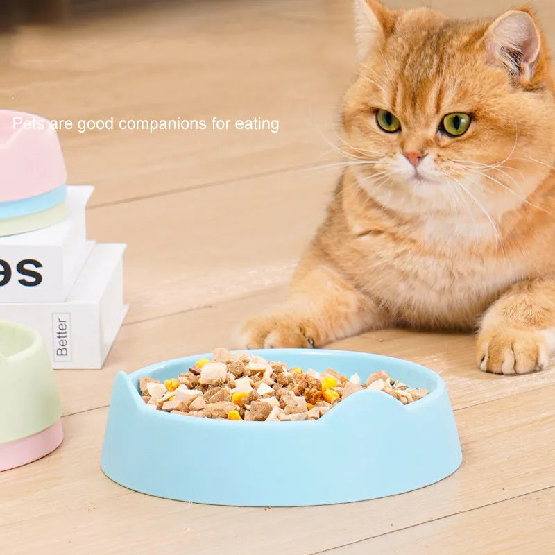 Ceramic dog slow feeder bowl with raised maze pattern in blue, green, or pink colours