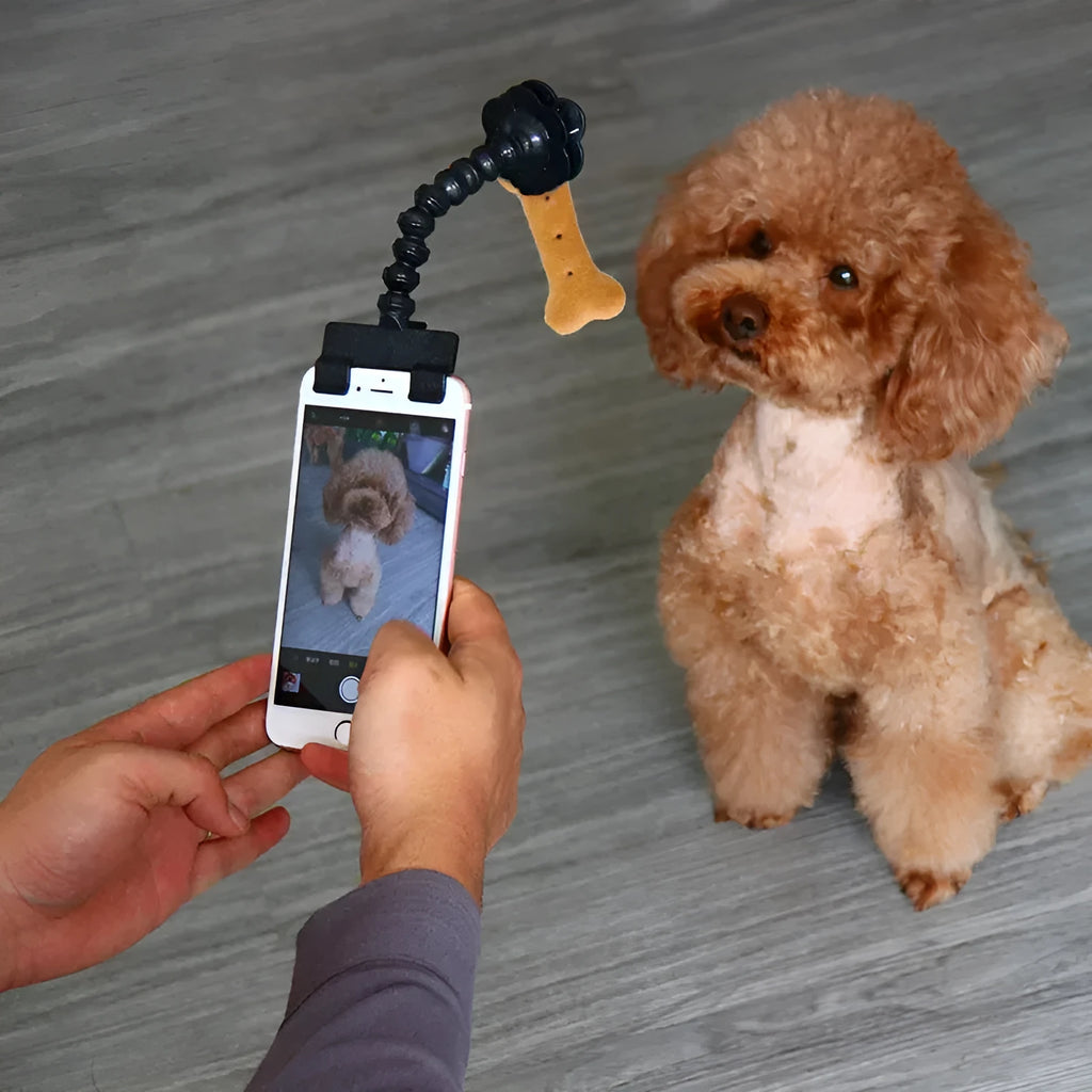 Black pet photography tool with phone clamp and treat holder for cat and dog photography