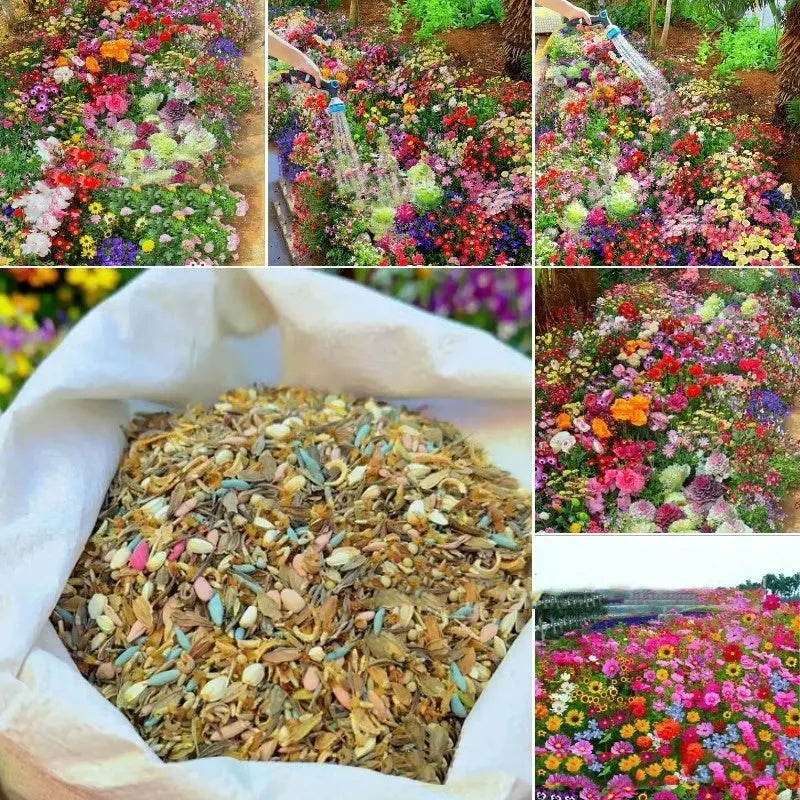 Packet of mixed wildflower seeds for garden planting, bulk quantities available.