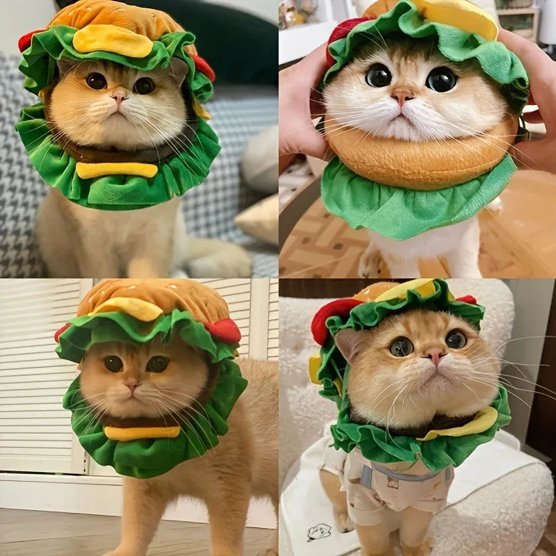 Cat wearing burger headdress collar with cartoon hamburger design and elastic strap