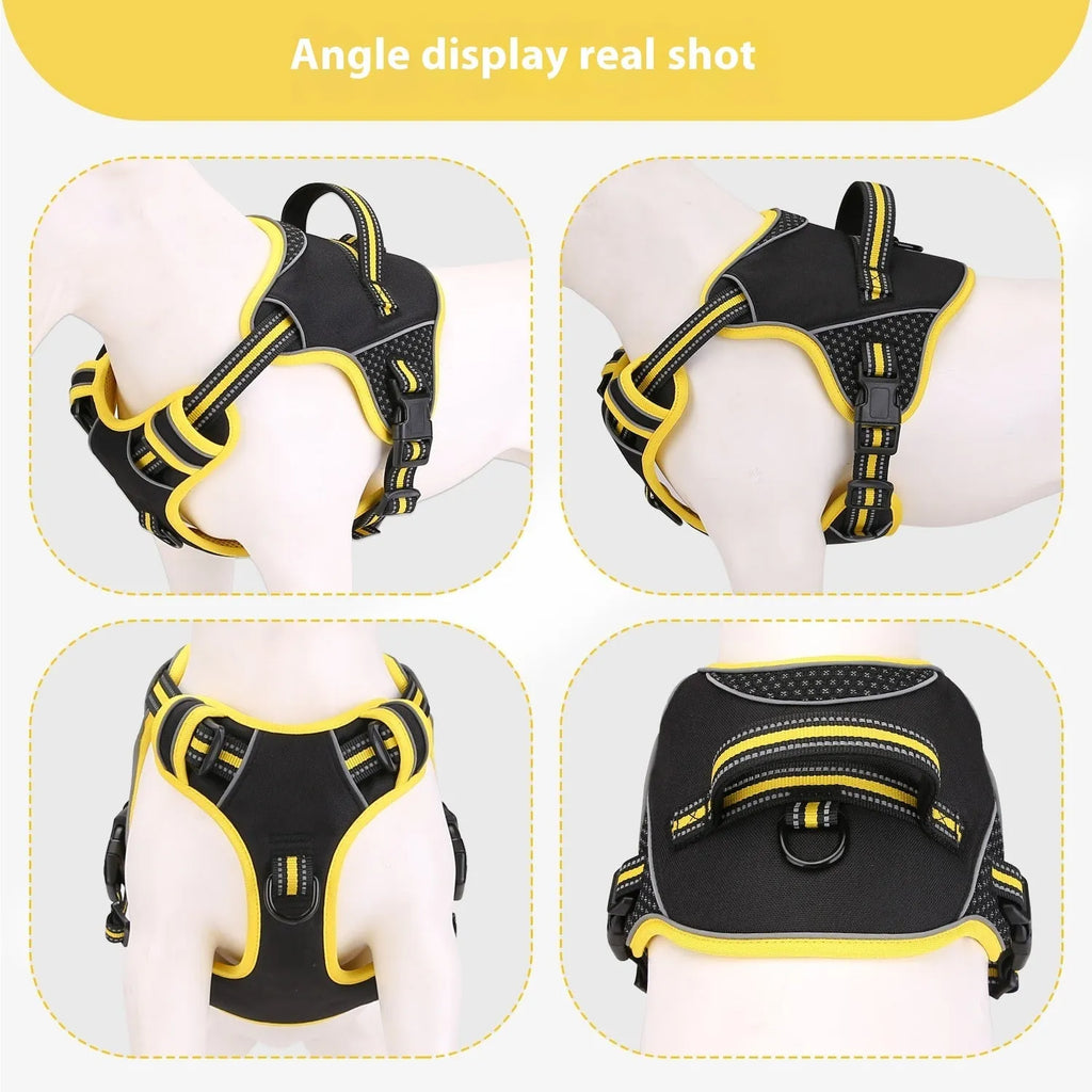 Orange anti-escape dog harness and traction lead set shown on size chart for S, M, L.
