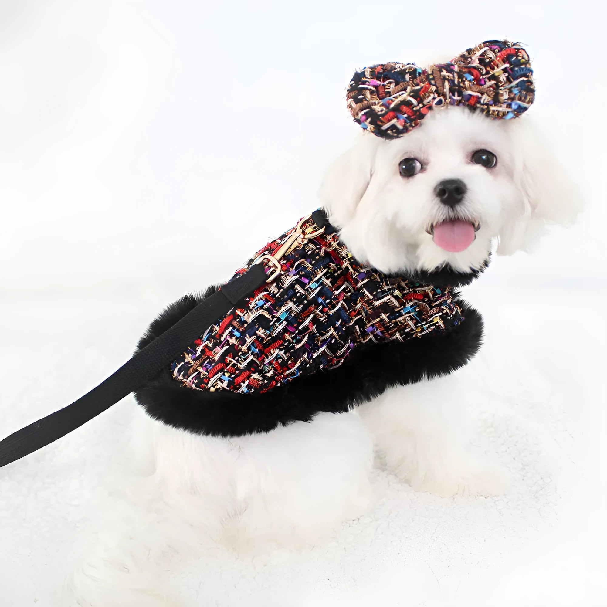 Dog wearing cotton cloth cloak chest strap with integrated hand holding rope pet lead attachment