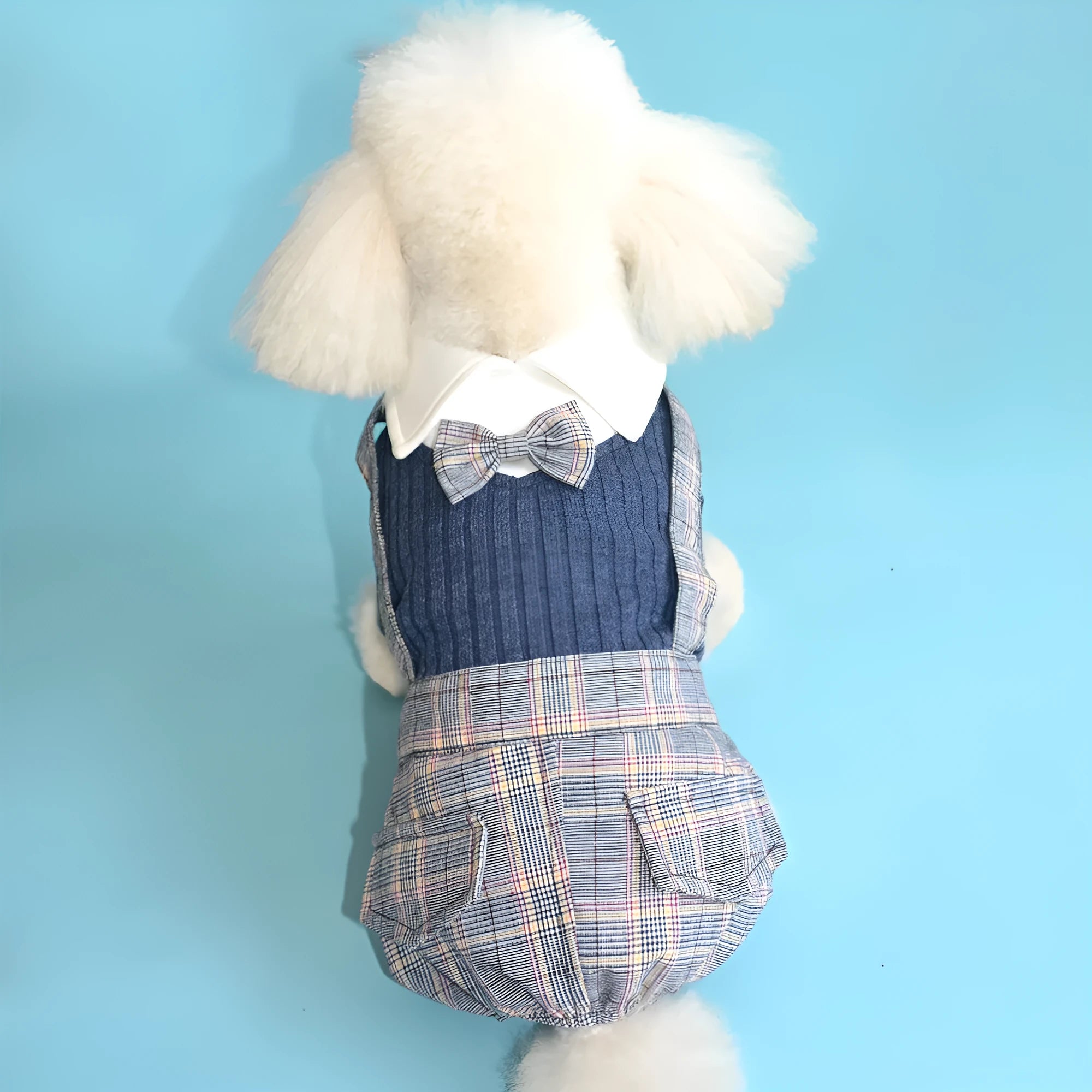 Small breed dog wearing orange cotton shirt with simple collar design