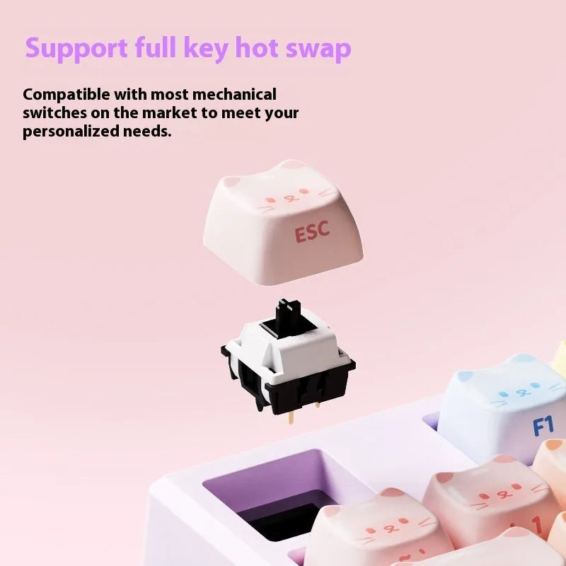Coloured sugar cat mechanical keyboard with Bluetooth connectivity and Kailh piano switches