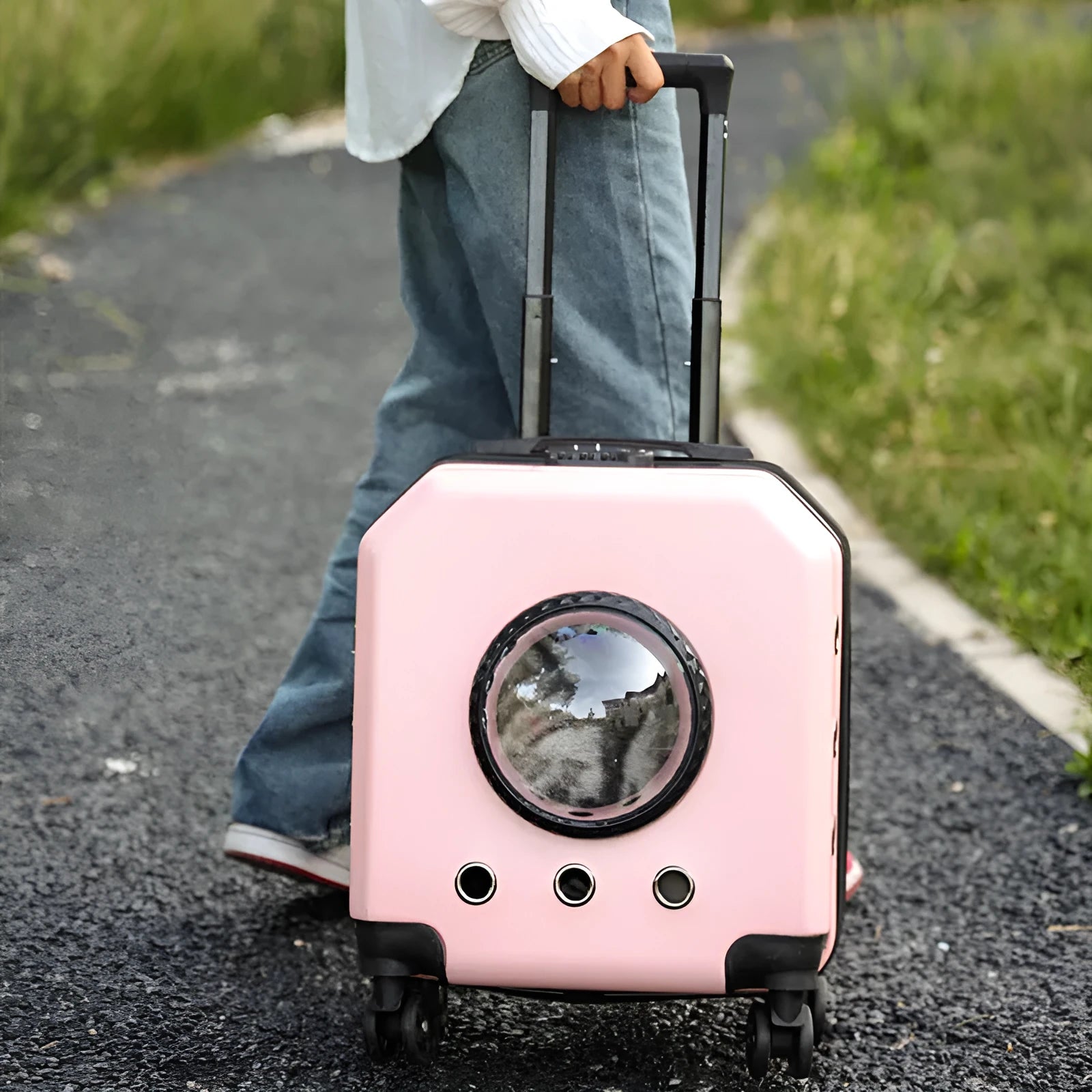Hard-shell PVC pet flight trolley case cat carrier in pink, burgundy, white, or orange.