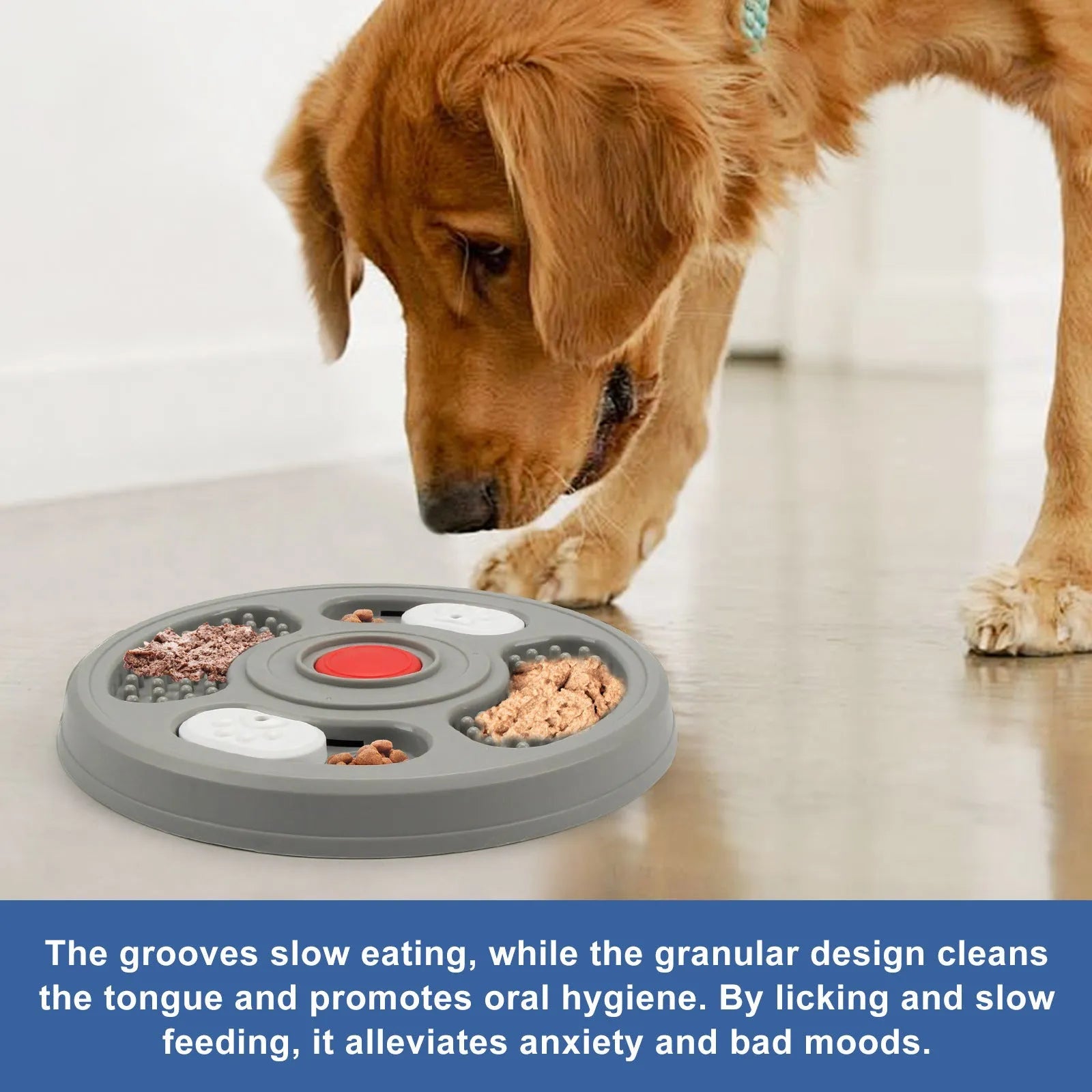Grey and blue PP plastic dog slow feeder bowl with grooves and anti-slip pads on a white background