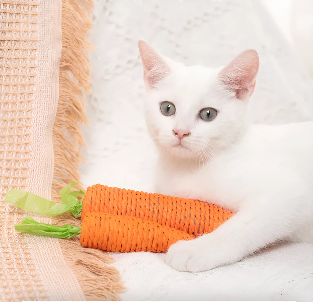 Set of interactive cat toys including carrot bites, paper toys, ringing stones, sticks and tooth grinding items