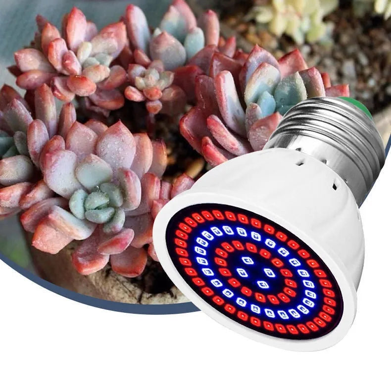 White LED plant growth lamp with 80 beads for indoor potted plants covering 30-80 square centimetre areas