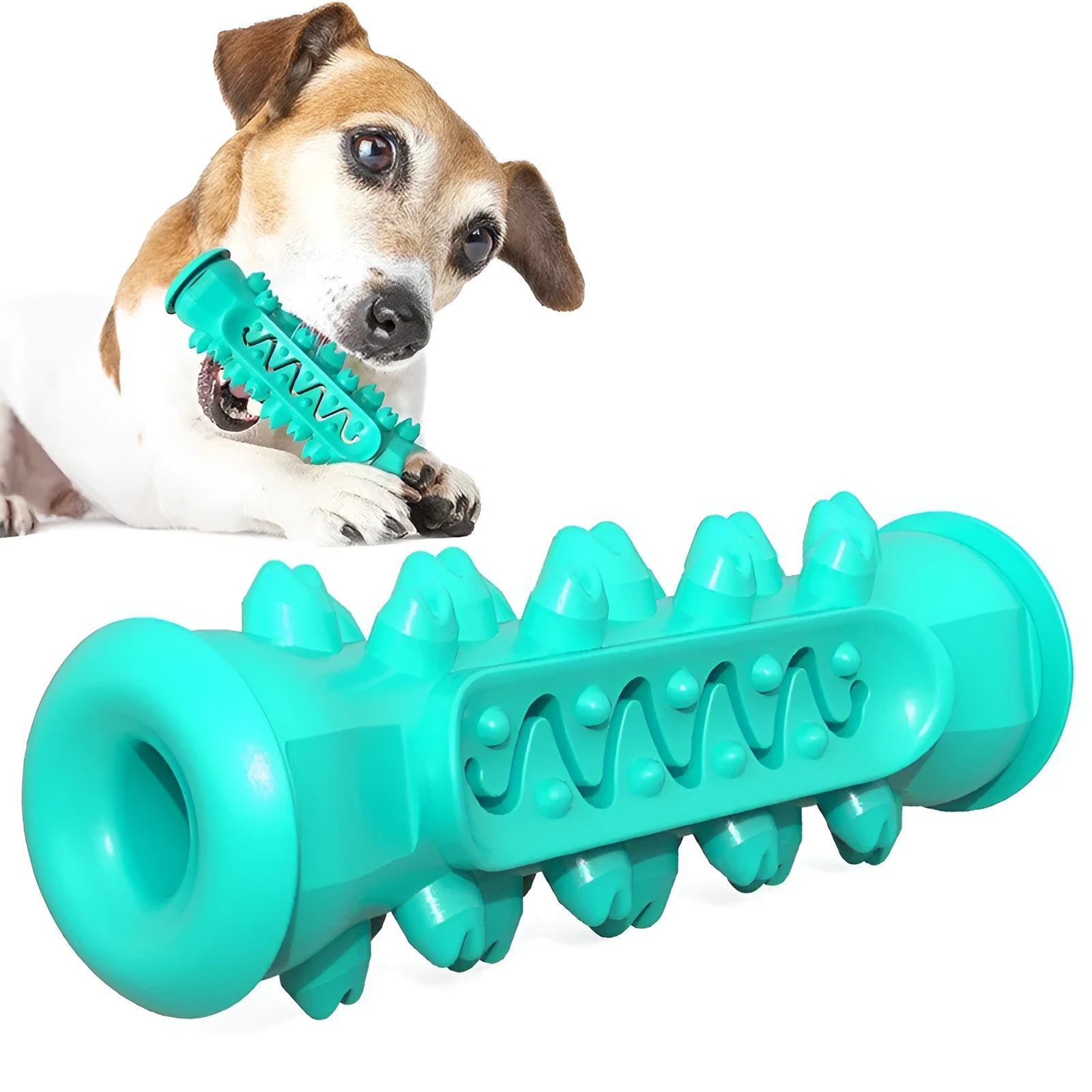 Molar teeth cleaning dog rope bite ball plastic pet toy in blue