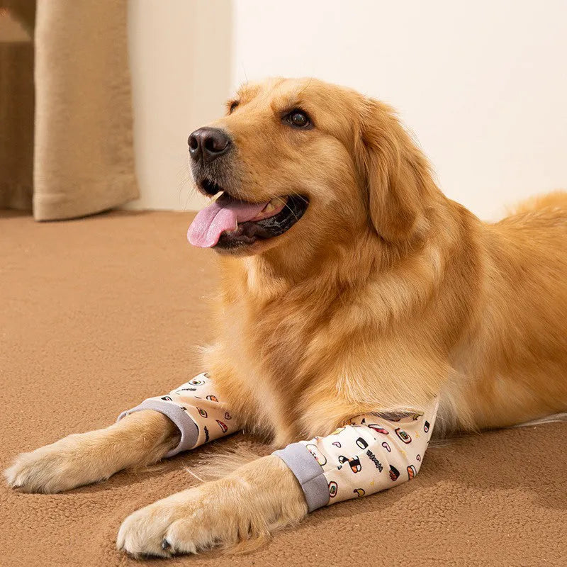 Blue dog knee protector pad with extra-thick elbow padding and adjustable buckle, shown with matching scarf accessory