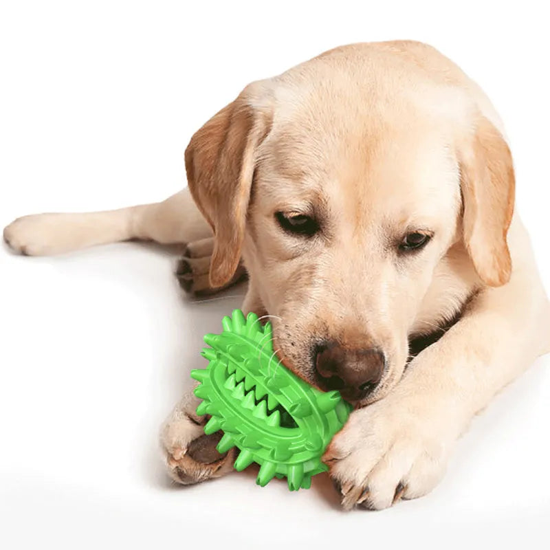 Green cactus-shaped rubber dog chew toy for dental cleaning, shown with dimensions.