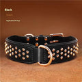 Leather dog collar with brass rivets in black, chocolate, or pink colour options for medium and large dogs.