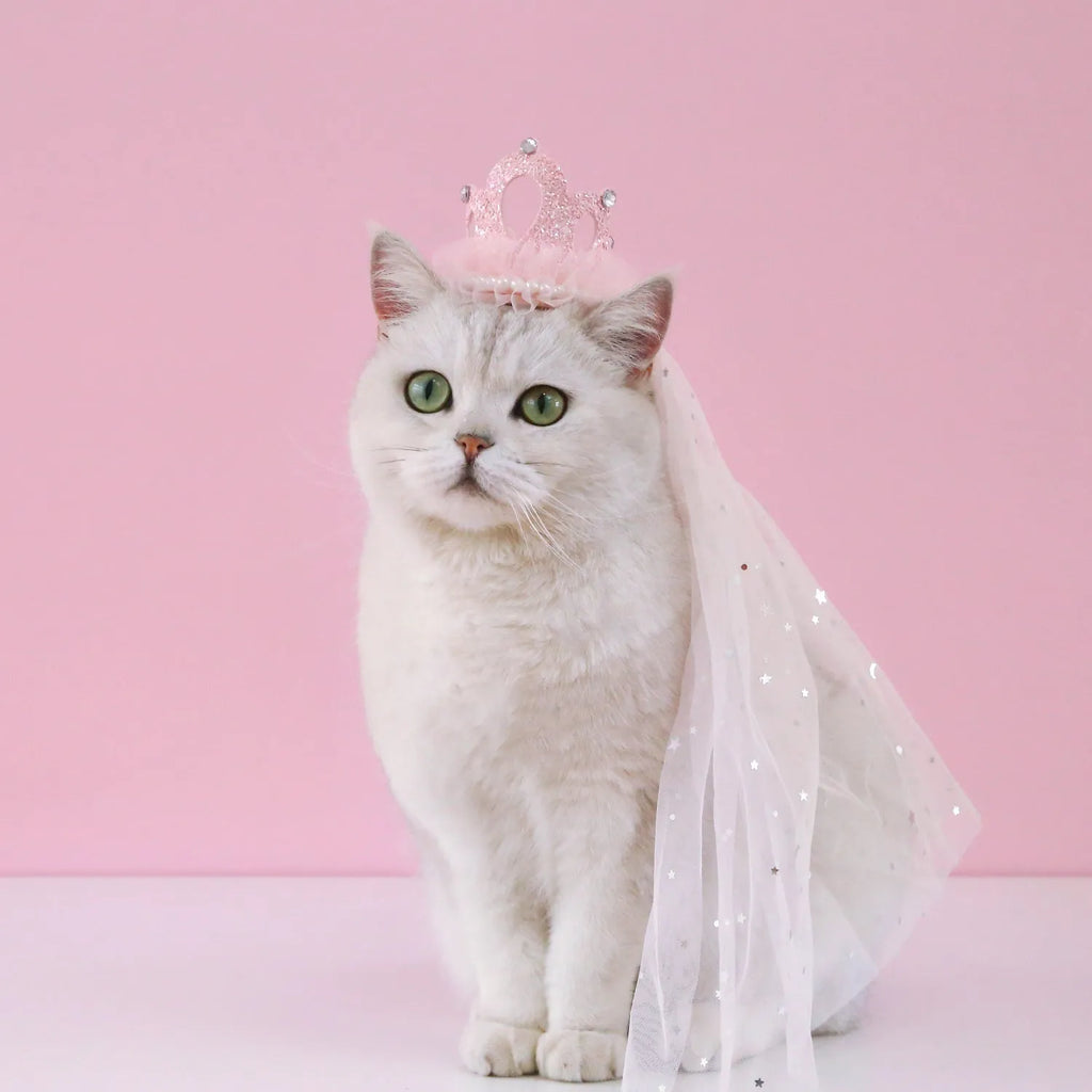 Pet cat wearing princess crown headdress with veil in beige or pink colour option