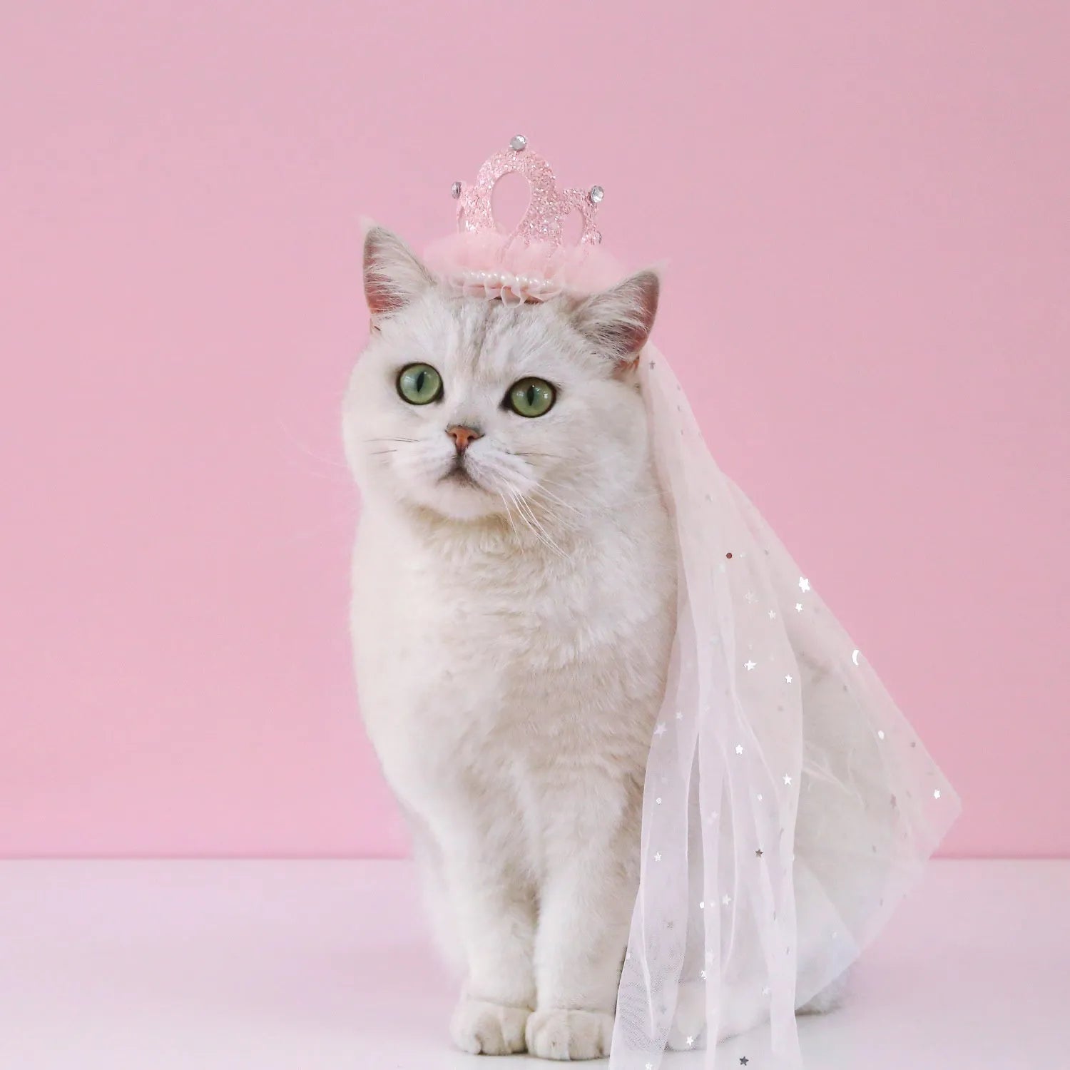 Pet cat wearing princess crown headdress with veil in beige or pink colour option
