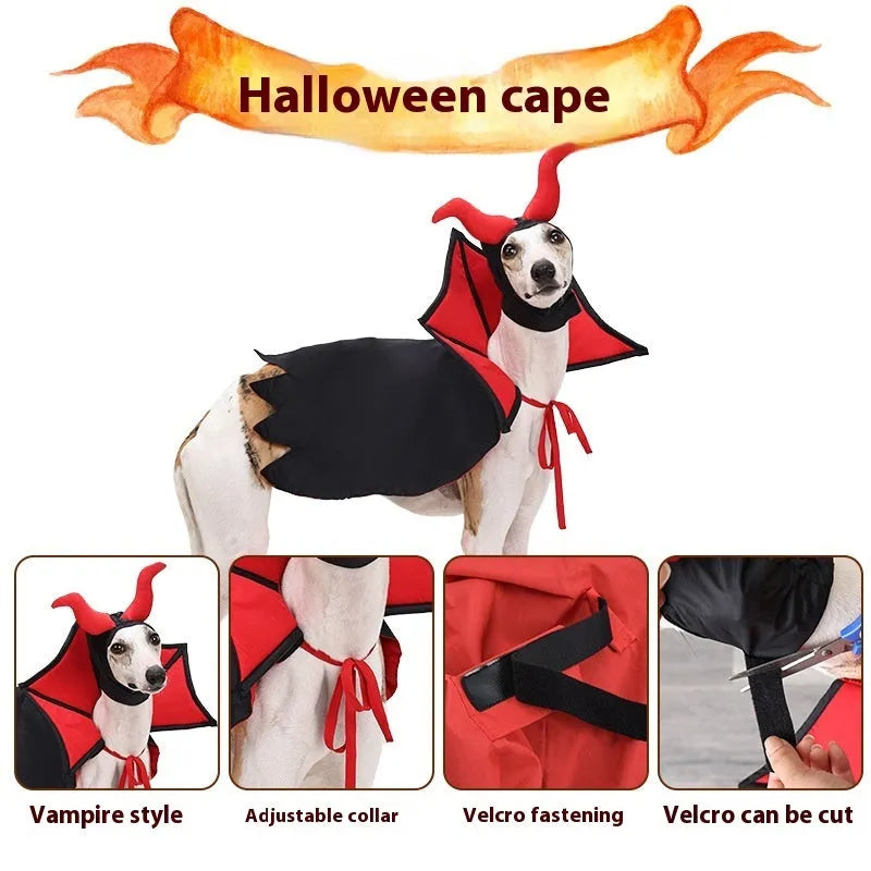 Black polyester vampire cloak and hat costume on a small dog or cat for Halloween.