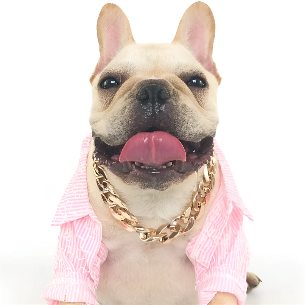 Gold colour dog collar necklace with geometric buckle and twisted chain design for small to medium sized dogs