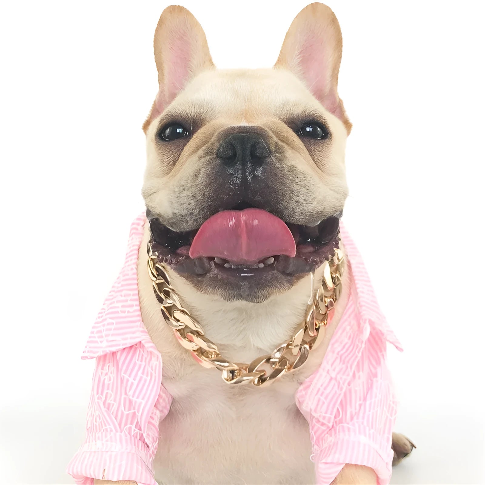 Gold colour dog collar necklace with geometric buckle and twisted chain design for small to medium sized dogs