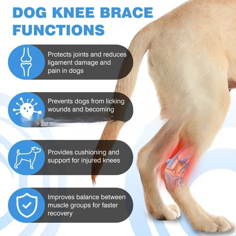 Black polyester dog leg guard for ACL rehabilitation and cat joint dislocation protection