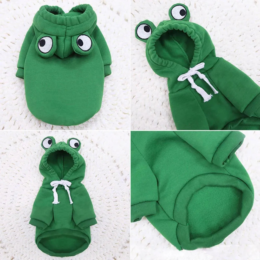 Green frog costume pet hoodie on small dog showing frog pattern design and hood