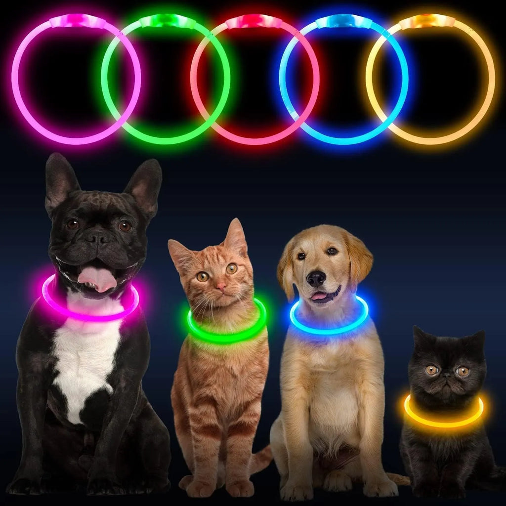 USB rechargeable LED dog collar glowing blue with adjustable TPU strap and charging cable