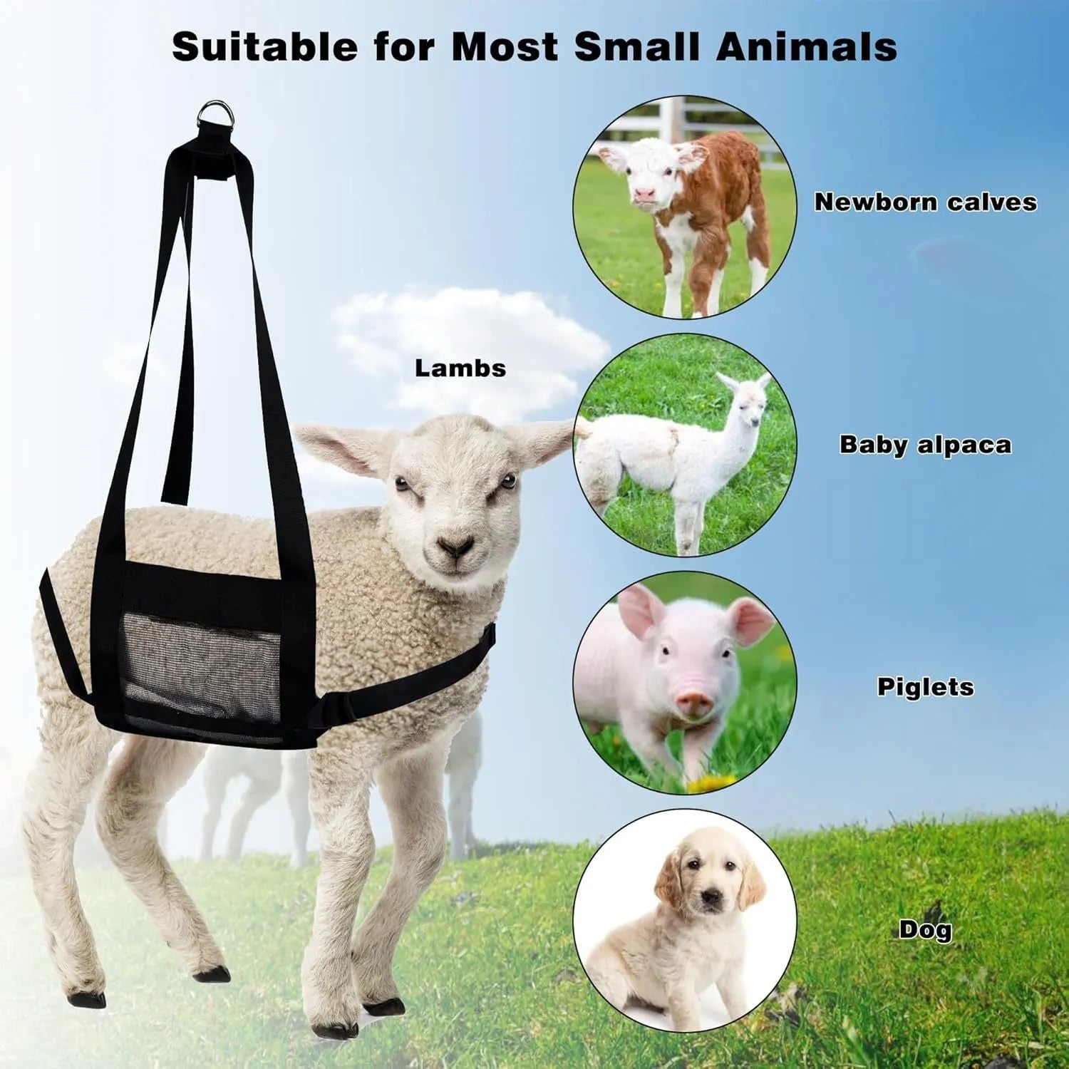 Black calf and large dog weighing sling measuring 35 by 150 centimetres.