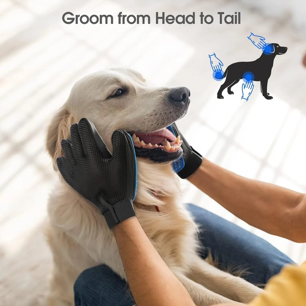 Blue pet grooming gloves with silicone tips for gentle hair removal during brushing and washing