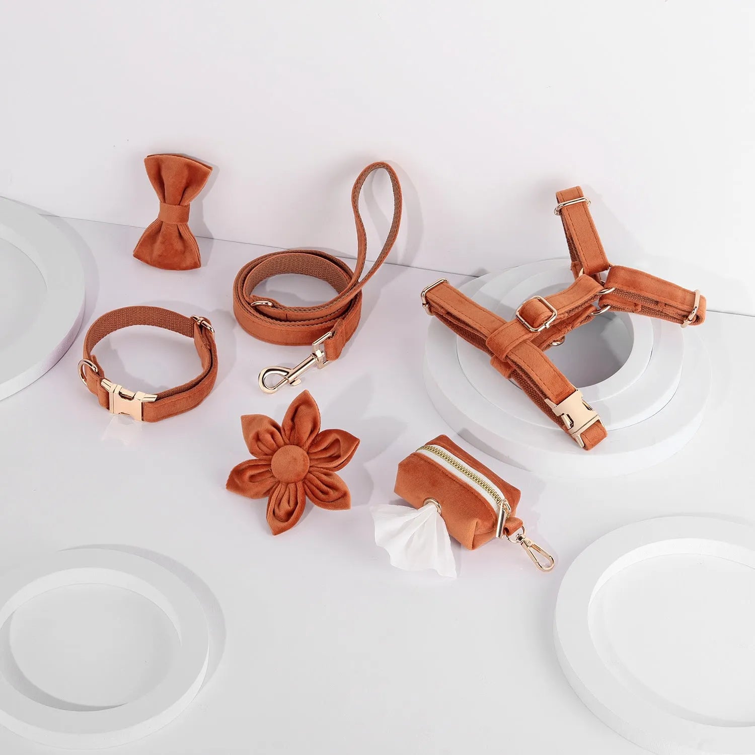 Pet collar and traction rope set in velvet fabric with bow tie, flower, and chest strap accessories