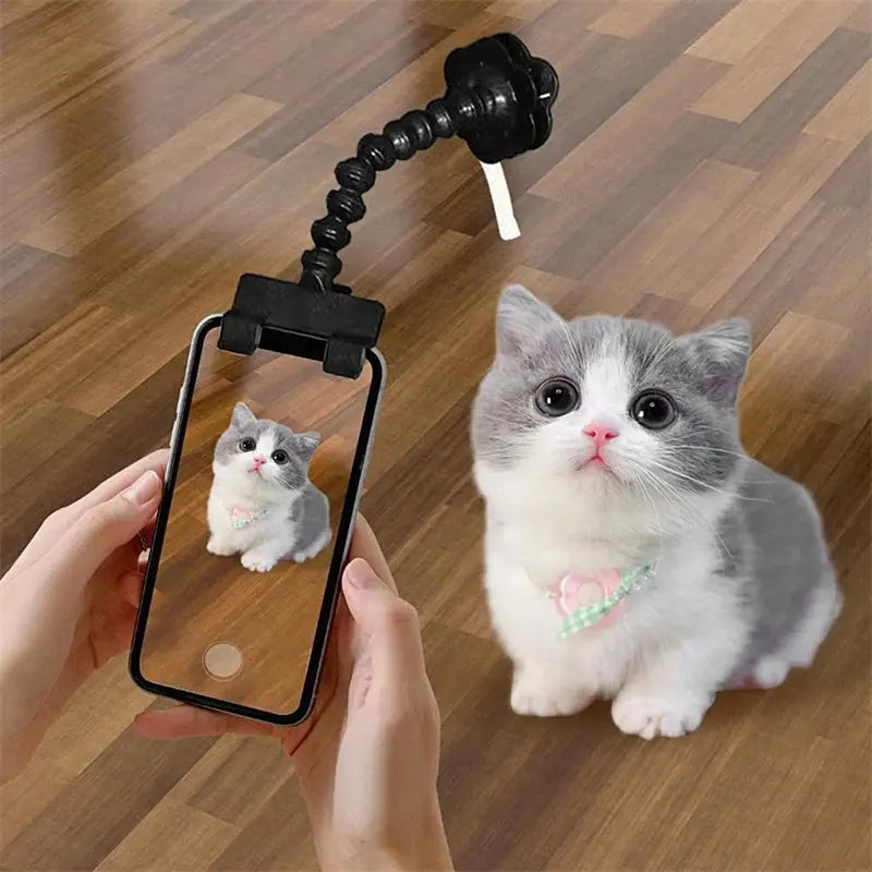 Black pet photography tool with phone clamp and treat holder for cat and dog photography