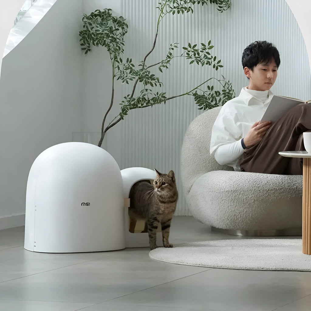 A fully enclosed oversized cat litter box in Moss Green colour, showing its large dimensions and solid ABS plastic construction.