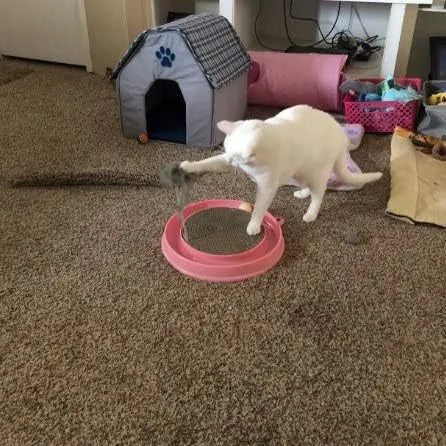 Blue interactive cat scratcher toy with ball track and replaceable scratch pad, 40cm diameter